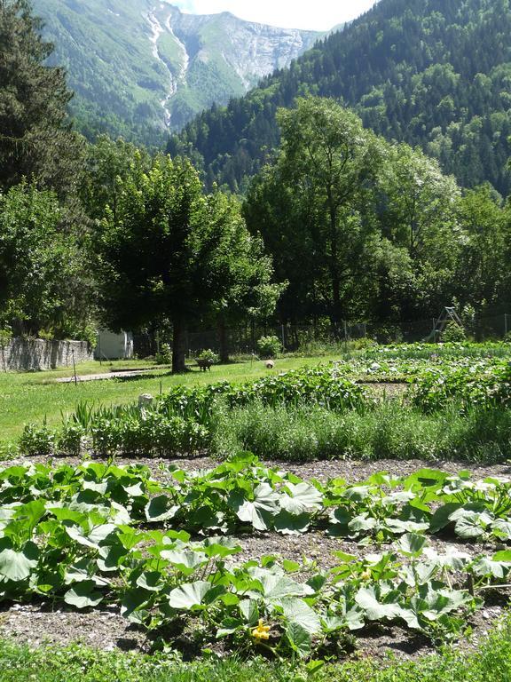 Chateau De La Muzelle Vénosc Zewnętrze zdjęcie